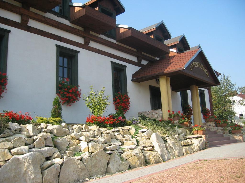 Cyprianowka Villa Warszowice Exterior photo